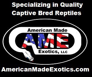 Click here for American Made Exotics Click here for American Made Exotics
