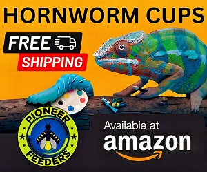 Affordable Hornworms & Great Shipping Rates