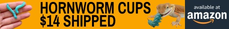 Click here for HardTop Feed
