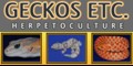 click here for Geckos Etc.