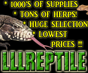 Click here for LLL Reptile & Supply