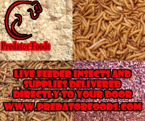 Click here for Predator Foods