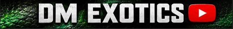 DM Exotics Youtube