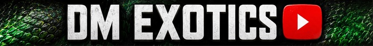 DM Exotics Youtube