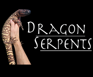 Click here for Dragon Serpents