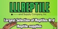Click to visit LLL Reptile