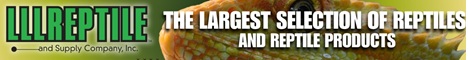 Click to visit LLL Reptile