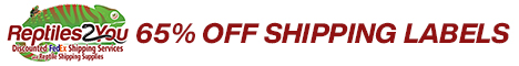 Click for 65% off Shipping with Reptiles 2 You