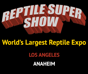 Click to visit Reptile Super Show