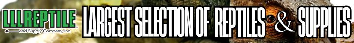 Click to visit LLL Reptile