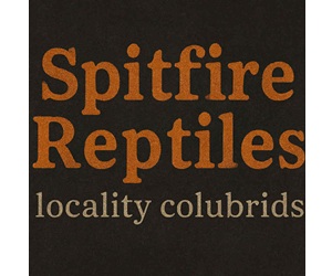 Click to visit Spitfire Reptiles