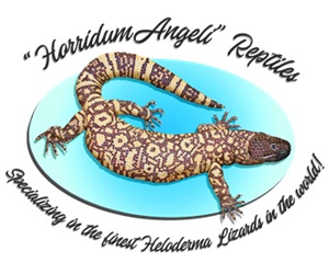 Click to visit Horridum Angeli