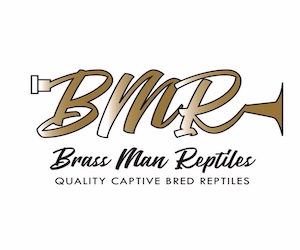 Click to visit Brass Man Reptiles